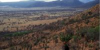  The wild valleys of Warmwaterberg at Sanbona. Woody thickening over the past century near Queenstown, Eastern Cape. Acacia karoo is the most common tree species in this mesic savanna. (Photos: IP Pole Evans, Timm Hoffman and James Puttick reproduced courtesy of rePhotoSA)