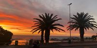 Camps Bay: On golden pond. Image: Linda Schomer