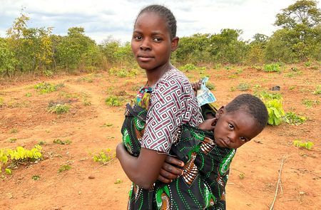 Appeal launched for human-wildlife conflict victims of botched Ifaw elephant translocation

