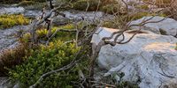 Sunrise shipwreck hike at Cape Point nature reserve. CREDIT: Clair Beaumont