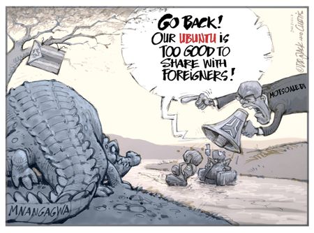 Between a Croc and a Hard Place