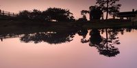 In the glow before sunrise in Keurboom park. Image: Jenni Bessesen 