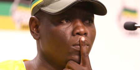 A succession plan, young blood and Ramaphosa – that’s what the ANC needs, says deputy president hopeful Lamola