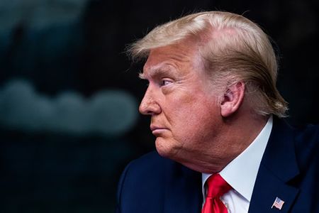 Hair: The Trump cut