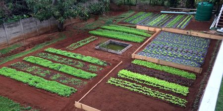 It’s time to get territorial — for food security, jobs and the environment