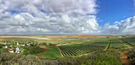 Goedgedacht, a South African success story