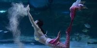 epa10139180 A South Korean diver wearing a little mermaid costume performs in a tank ahead of the 'Chuseok' national holiday, at the Coex Aquarium in Seoul, South Korea, 26 August 2022. Chuseok is the autumn harvest celebration of the Lunar Calendar and is one of Korea's biggest traditional holiday, which falls on 10 Setpember this year.  EPA-EFE/JEON HEON-KYUN