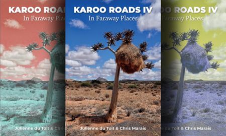 Karoo Roads IV — Freewheeling on the Frontier