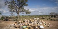 Cardboard boxes are set aside. These are used to make cardboard lamps and organic compost. Plans are under way to convert the cardboard into waste bins for school classrooms. (Photo: Shiraaz Mohamed)