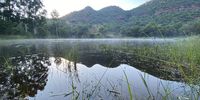 Farm Dam in Mpumalanga.  Early morning mist.</p>
<p>