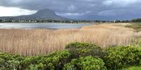 Paardevlei wetland in Strand, Cape Town is popular birding site with many endemic Cape species. Almost 200 bird species have been recorded. (Photo: Mike Buckham)