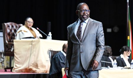 A ‘tough balancing act’, but there’s unhappiness inside and outside GNU over fuel levy increase