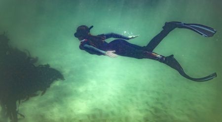 Covid-19 gave us a chance to listen to the silent seas