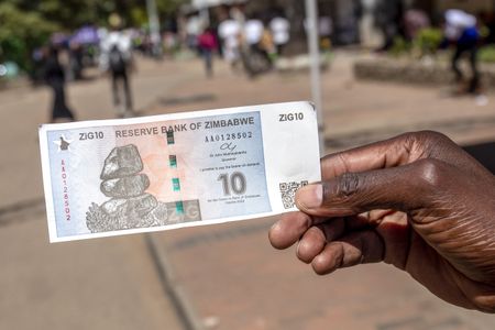 Zimbabwe Devalues ZiG as Latest Bid for Stable Currency Founders
