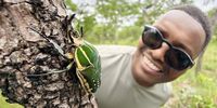 Dozens of new species found in one of Africa’s last biodiversity blank spots