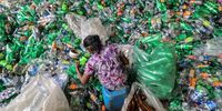 Female laborers sort out recyclable Polyethylene erephthalate or PET plastic bottles in the Viridis Recycling Centre in THE Panagoda suburb of Colombo, Sri Lanka, 22 May 2023. (Issued 02 June 2023) According to the Sri Lanka Environment Ministry's "National Action Plan on Plastic Waste Management 2021-2030," an estimated 682 metric tons of plastic waste are generated in Sri Lanka each day. Meanwhile, only 11 percent of the total amount of plastic waste generated is recycled in a systematic manner. The world marks the World Environment Day on 5 June 2023 and it will focus on plastic Pollution and solutions to plastic Pollution.  EPA-EFE/CHAMILA KARUNARATHNE  ATTENTION: This Image is part of a PHOTO SET
