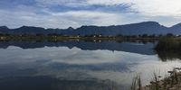 Constantiaberg reflected in Princess Vlei. Photographer: Bridget Pitt
