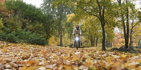 Bio boom time: How Finland leads the world on Sustainable Development Goals