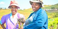 Investing in women farmers could bridge the gap between inadequate grants and child nutrition