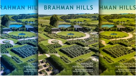 ‘Bring us magic’ — the story of Brahman Hills in the KZN Midlands