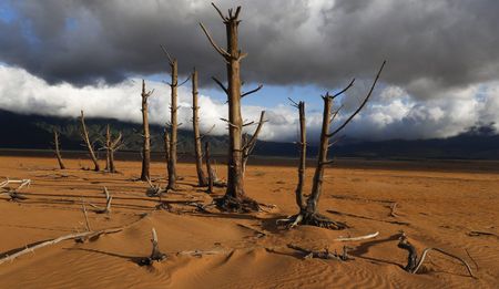 #BUDGET2020: Mboweni big on organic manure, gets mixed reviews on addressing climate crisis