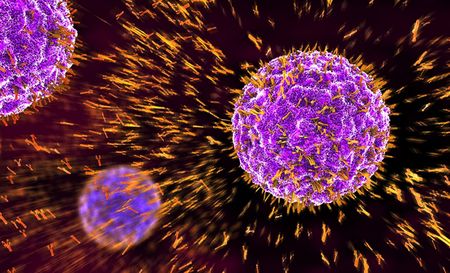 Women take big hit as lockdown reshapes SA’s jobs market, survey finds