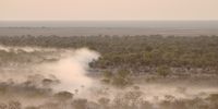 [River of dust before closing time at Halali, Etosha]. Photographer: [Sandi Theron]. 