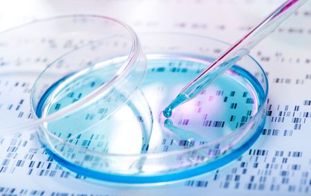 Forensic facility for Hawks up and running as business/government crime initiative forges ahead