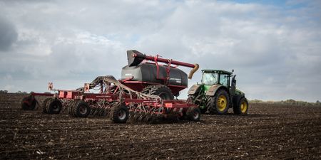 Zelensky to deliver free grain in new initiative that will feed at least 5 million Africans