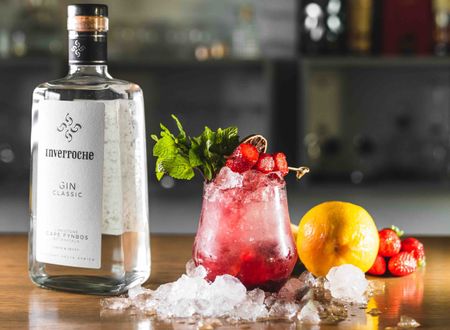 Pernod Ricard’s Inverroche acquisition marks new era for African craft gin