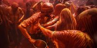 MATHURA, INDIA - MARCH 19: Women attempt to rip the shirt off a man during Huranga celebrations on March 19, 2022 at the Dauji Temple in Mathura, Uttar Pradesh, India. Huranga, which takes place a day after Holi - the festival of colors, takes place in a temple courtyard. Women playfully try to tear off the clothes of men as part of the festival, as the whole crowd gets inundated with colored powders and water. (Photo by Ritesh Shukla/Getty Images)