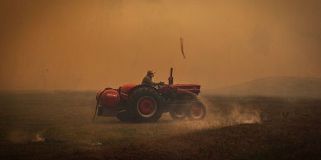 Environmental risks zoom to the fore at the World Economic Forum