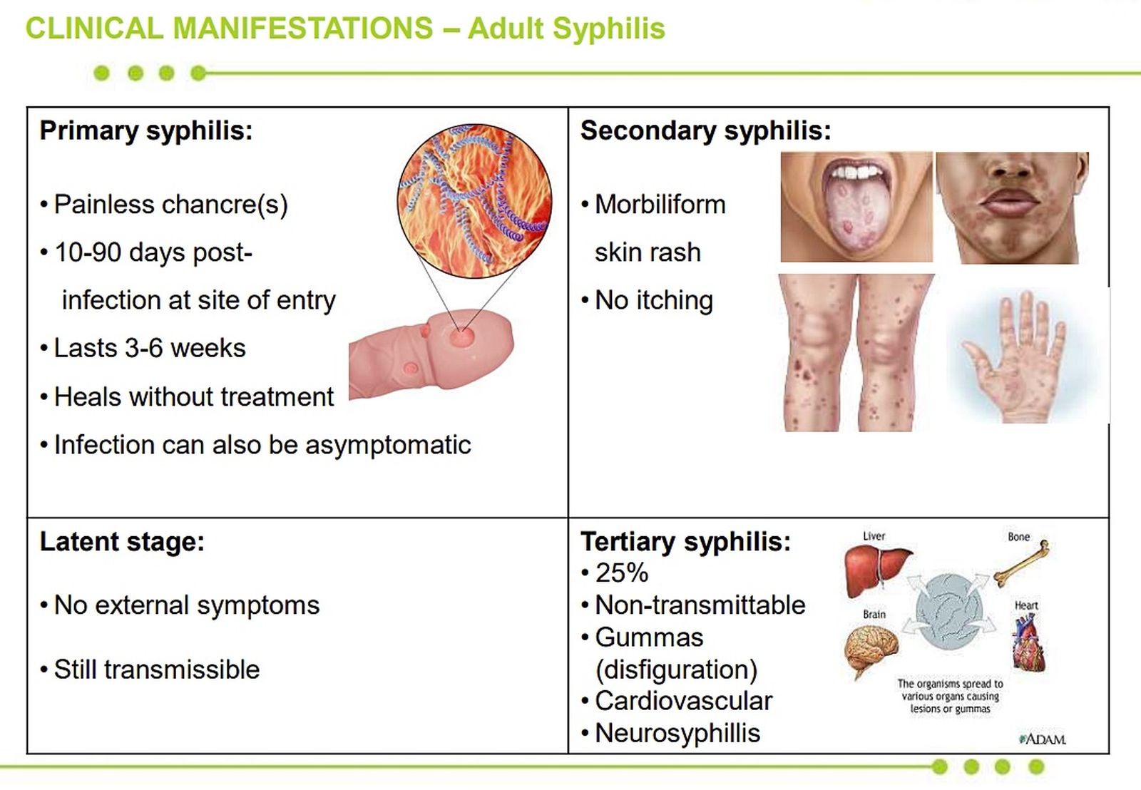Syphilis rates are spiking around the world
