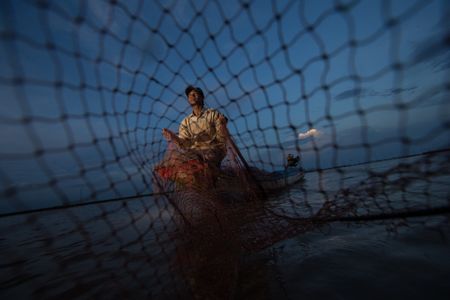 Huge catch in Cambodia boosts hopes for giant catfish survival