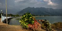 Photo Essay-InPictures26