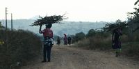 Fetching firewood and having to walk a long road back home in Mulenzhe village. (Photo: Felix Dlangamandla)