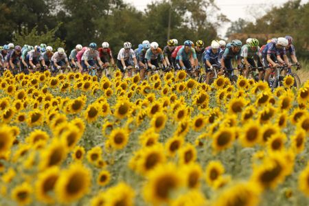 From mountain passes to Paris: Scenes from the 2026 Tour de France