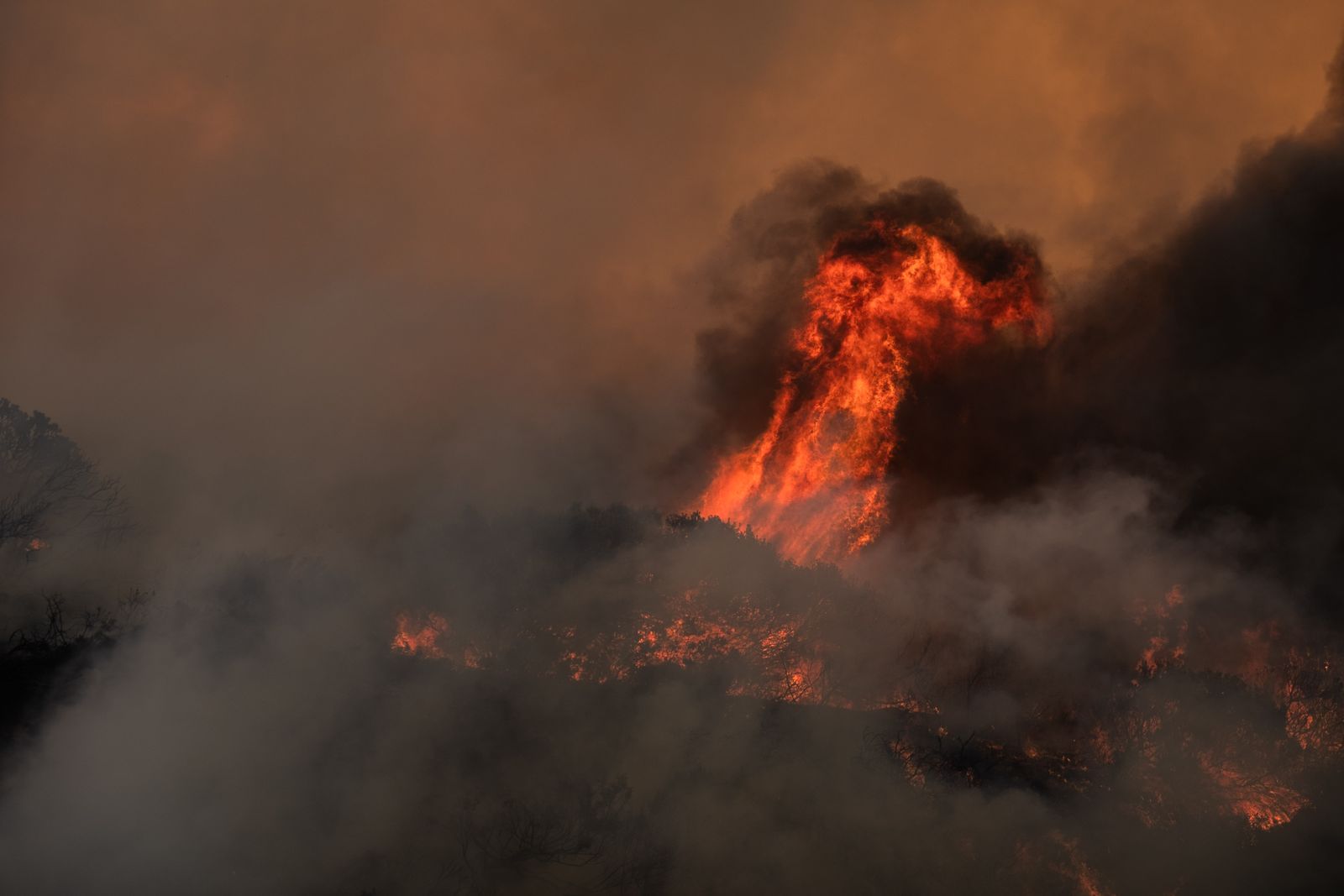 Simon’s Town blaze: Firefighters, community lauded as flames kept at bay