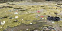Rubbish on the Leeu-Gamka River in Beaufort West. (Photo: Suné Payne / Daily Maverick)