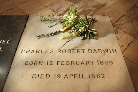 Climate activists paint over Darwin's grave at London's Westminster Abbey