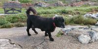 Enjoying the walk in Hermanus. Photo: Rianna Wentzel</p>
<p>