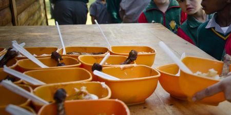 ECD chaos: ‘Inequality is being exacerbated because of petty officialdom’ as children starve