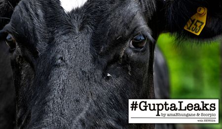 From the archives: amaBhungane and Scorpio #GuptaLeaks: The Dubai Laundromat – How millions milked from Free State government paid for Sun City wedding