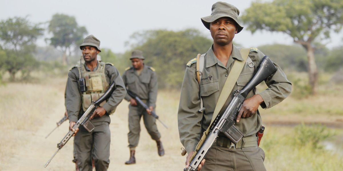 Anton Mzimba: 2 years on, hunt still on for Timbavati ranger’s killers