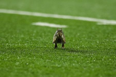 Our World in Pictures: Week 35 of 2022