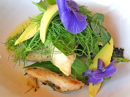 Growing resilience in a Gauteng garden