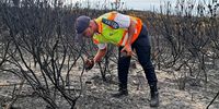The Cape of Good Hope SPCA’s Wildlife Unit continues to find slower-moving species like dead tortoises, snakes, and a lot of other ground species like nesting birds burned in the wake of the blaze. (Photo: Cape of Good Hope SPCA)