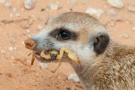 I have a picture for you! 14 February-20 February 2026