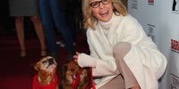Actress Diane Keaton attends the Los Angeles premiere of Sony Pictures Classics' "Darling Companion" at the Egyptian Theatre on April 17, 2012 in Hollywood, California.  (Photo by Alberto E. Rodriguez/Getty Images)