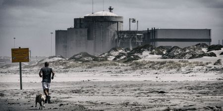 Koeberg's critical maintenance outage planned for December has been axed, says Eskom insider